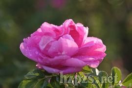 ��Դõ���r����