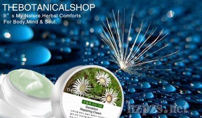 ��̩��-�ѹ�Ӣ����^���