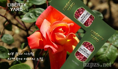 ������-���Ɓ�õ�����B(y��ng)ϴ����