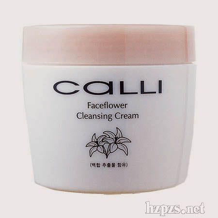 ���������坍˪