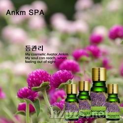 ���ȷ����_����������