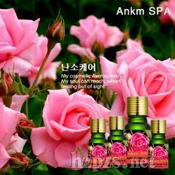 ���ȱ��B(y��ng)��������