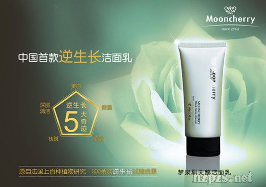 ��Ȫ�����Z������