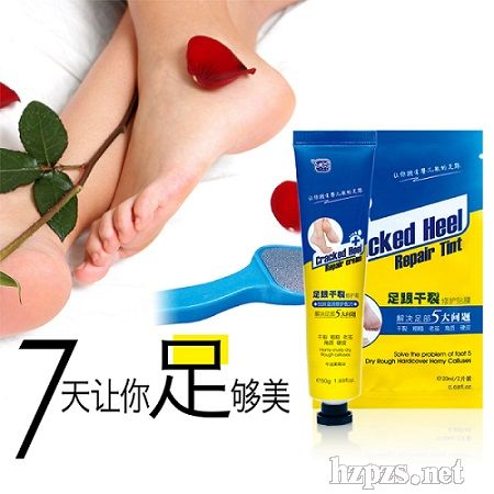 ��������ޏ�(f��)���b