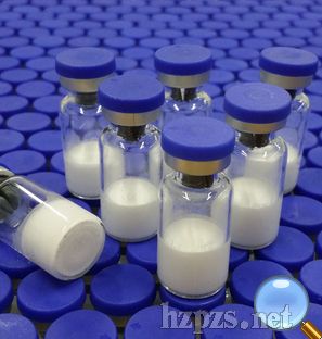 rhKGF-2�������ؽM�˽��|(zh��)�������L���ӣ�