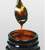 BronxHealth����