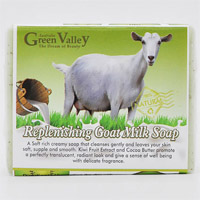 �����殐��ζɽ������