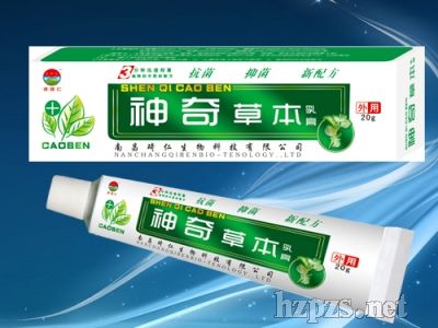 ����ݱ����