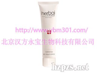 ѩ������������