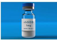 ���������绯ø��SOD��