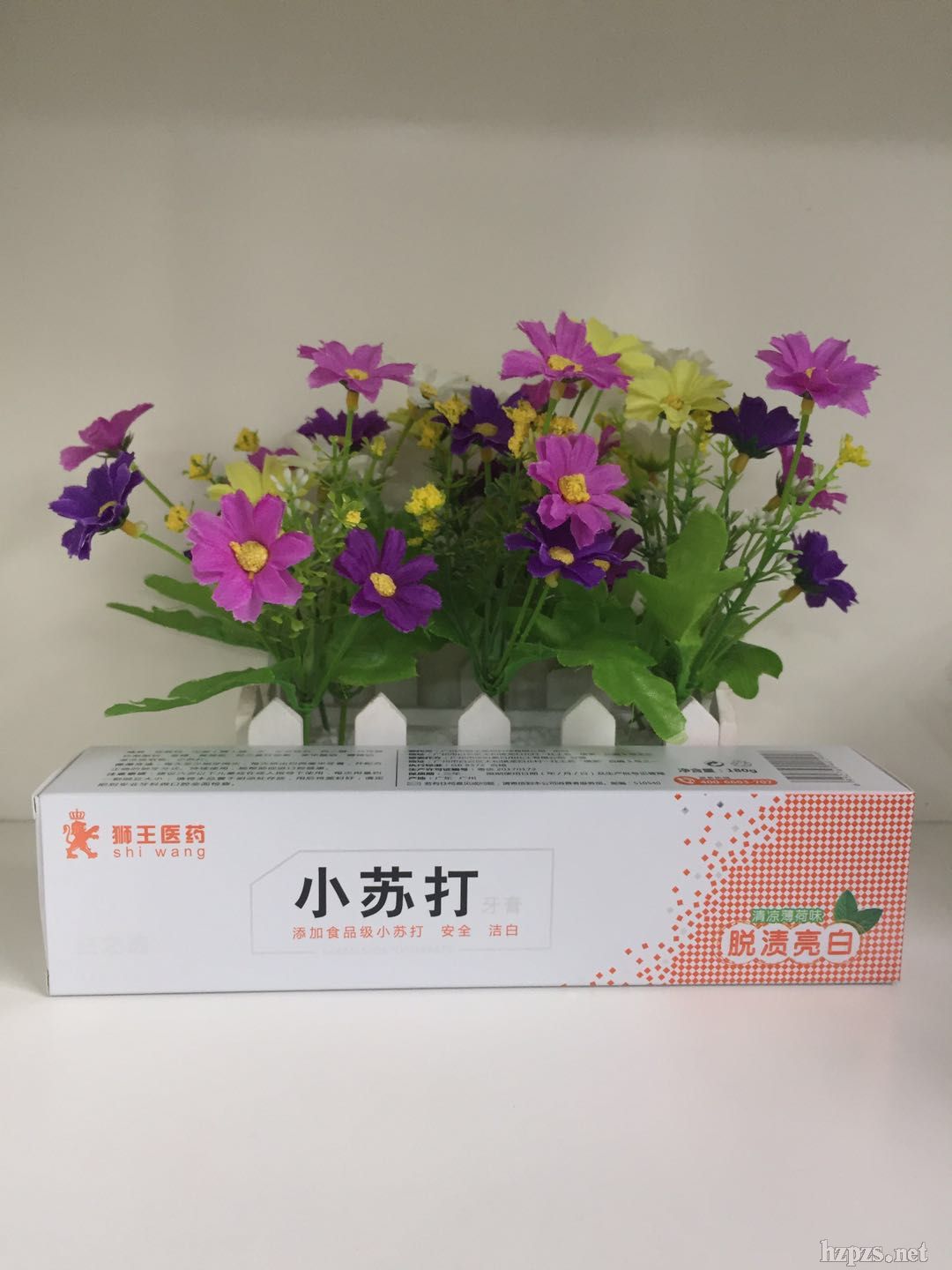 �V���Ъ{���t(y��)С�K��Ó�n����