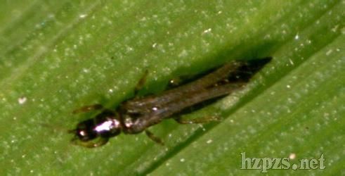 ����(y��ng)�������S�E�R���x��***�߲��S�E�R�r(ji��)��