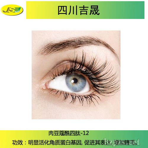 �ⶹޢ������-12/��ë�����ٽ���