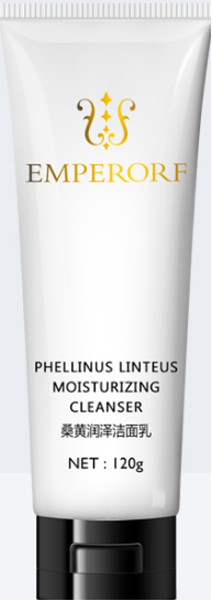 ɣ�S���ɝ�����