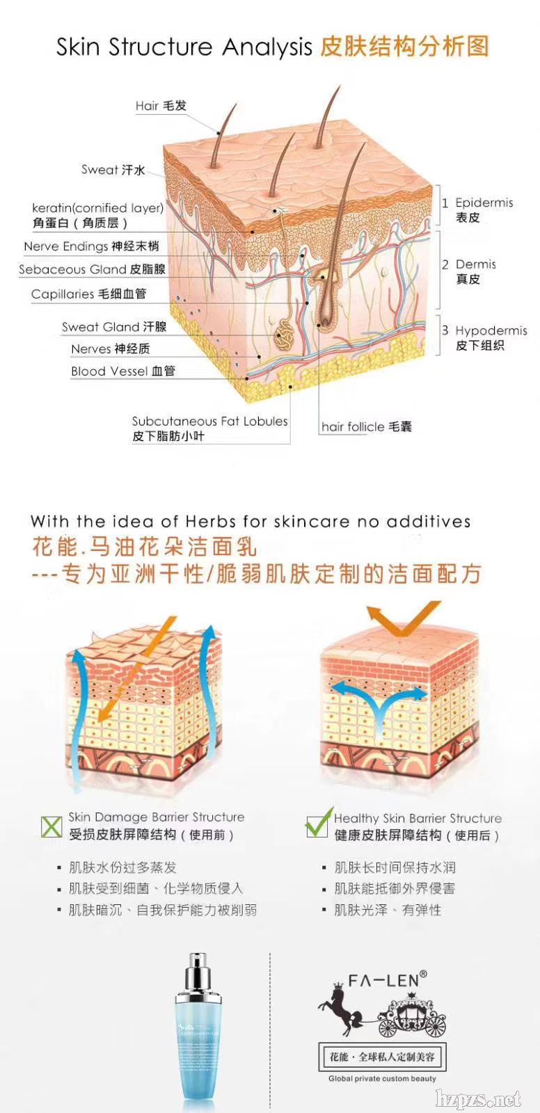 �R�ͻ��䝍����