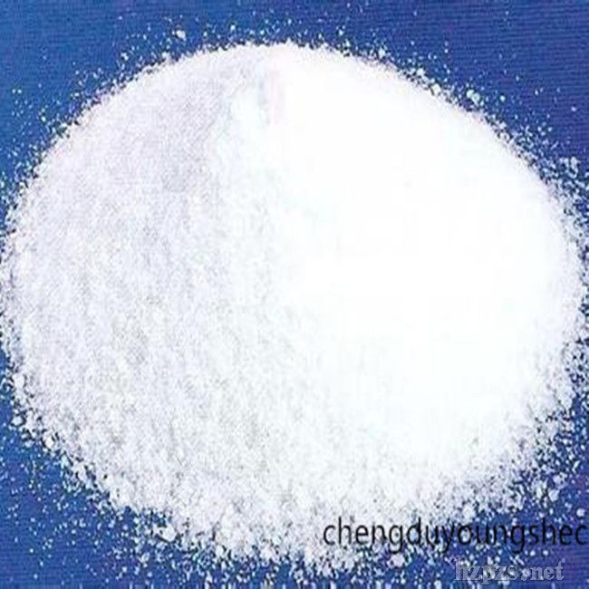 ����ԭ������������-8/��������/������