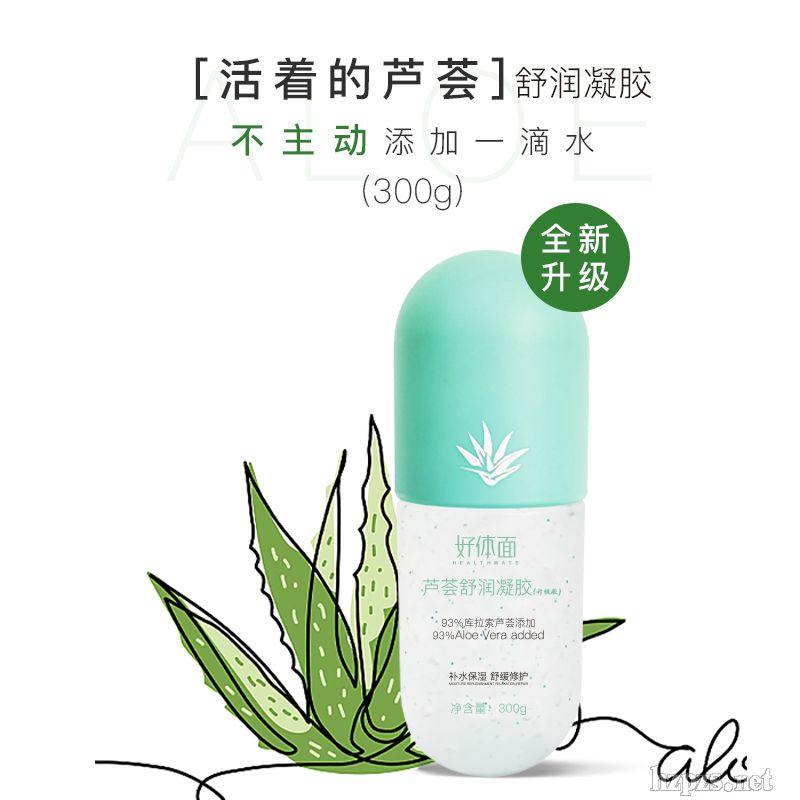 ���w���J�C�z������(j��)�棩