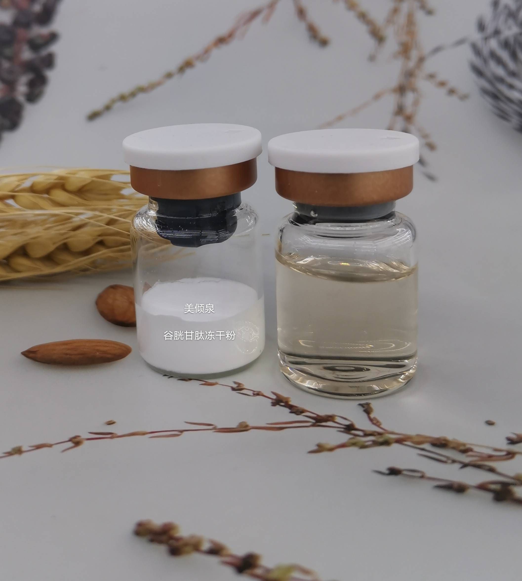 �������ɷ�