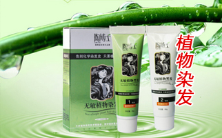 ��ֲ��Ⱦ�l(f��)�����l(f��)����