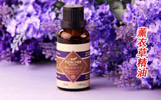 ��޹�²ݾ��͡����l(f��)����