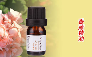 �����ÿ����͡����l(f��)����