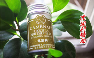 ���ȼ������͡����l(f��)����