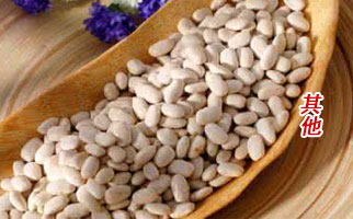 �����������l(f��)����